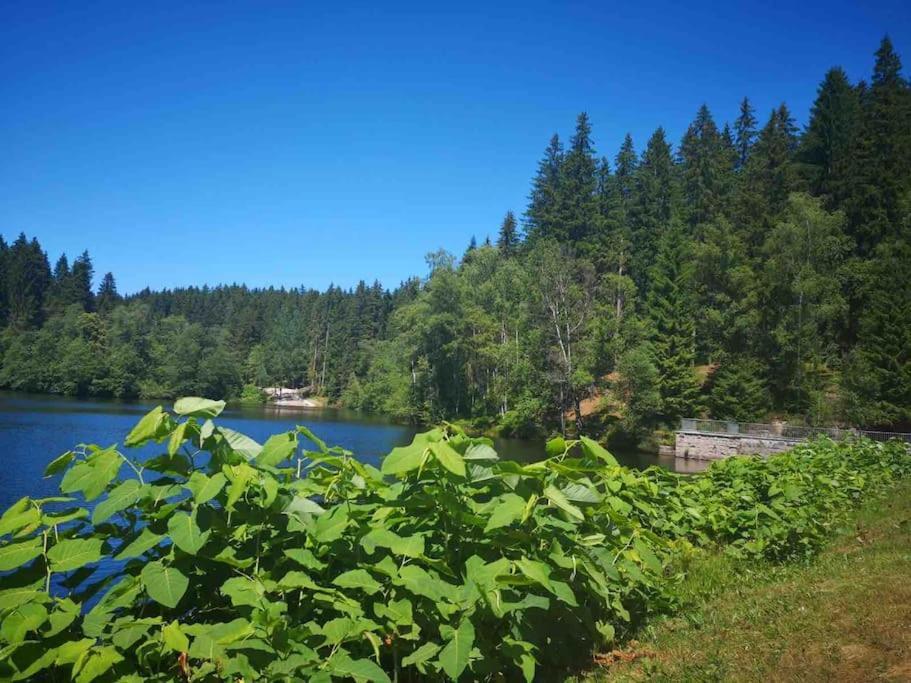 Ferienhaus In Schoenheide Im Schoenen Erzgebirge Εξωτερικό φωτογραφία