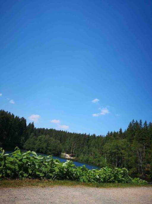 Ferienhaus In Schoenheide Im Schoenen Erzgebirge Εξωτερικό φωτογραφία