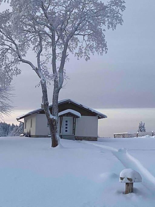 Ferienhaus In Schoenheide Im Schoenen Erzgebirge Εξωτερικό φωτογραφία