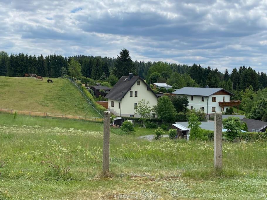 Ferienhaus In Schoenheide Im Schoenen Erzgebirge Εξωτερικό φωτογραφία