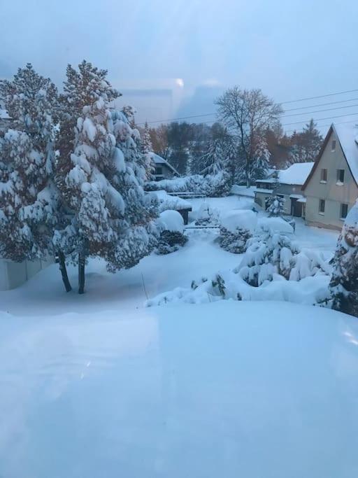 Ferienhaus In Schoenheide Im Schoenen Erzgebirge Εξωτερικό φωτογραφία
